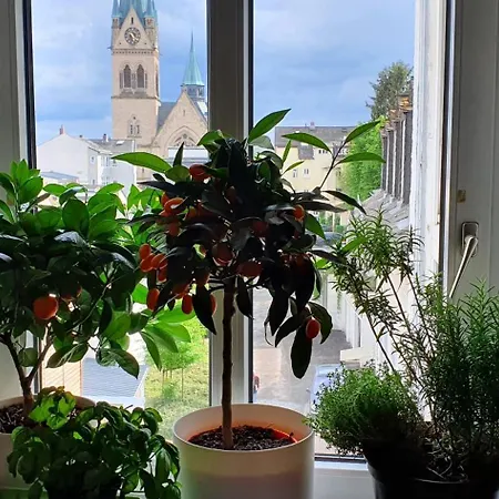 Grosses Zimmer Von Privat Sehr Zentral In Bad Homburg Stadtmitte *