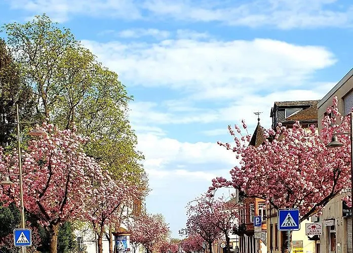 Homestay szállás Von Privat, Grosses Sehr Zentral In Bad Homburg Stadtmitte