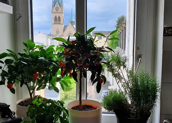 Von Privat, Grosses Sehr Zentral In Bad Homburg Stadtmitte *