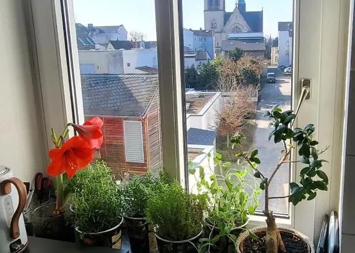 Homestay Grosses Zimmer Von Privat Sehr Zentral In Bad Homburg Stadtmitte